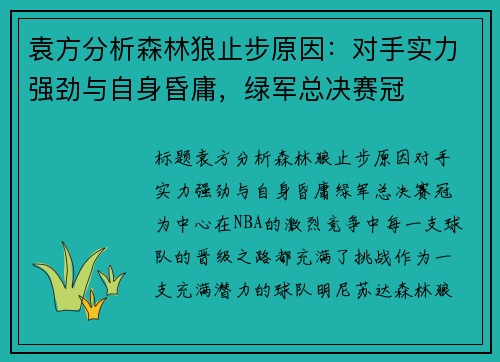 袁方分析森林狼止步原因：对手实力强劲与自身昏庸，绿军总决赛冠